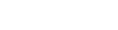 Консул
